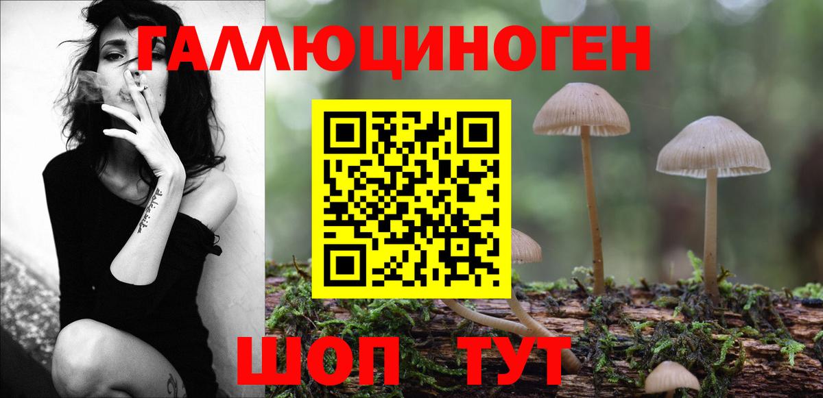 Североморск  Галлюциногенные грибы MAGIC MUSHROOMS  Псилоцибиновые грибы Psilocybe  Вход с VPN 